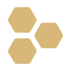 Bullet icon