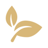 Bullet icon