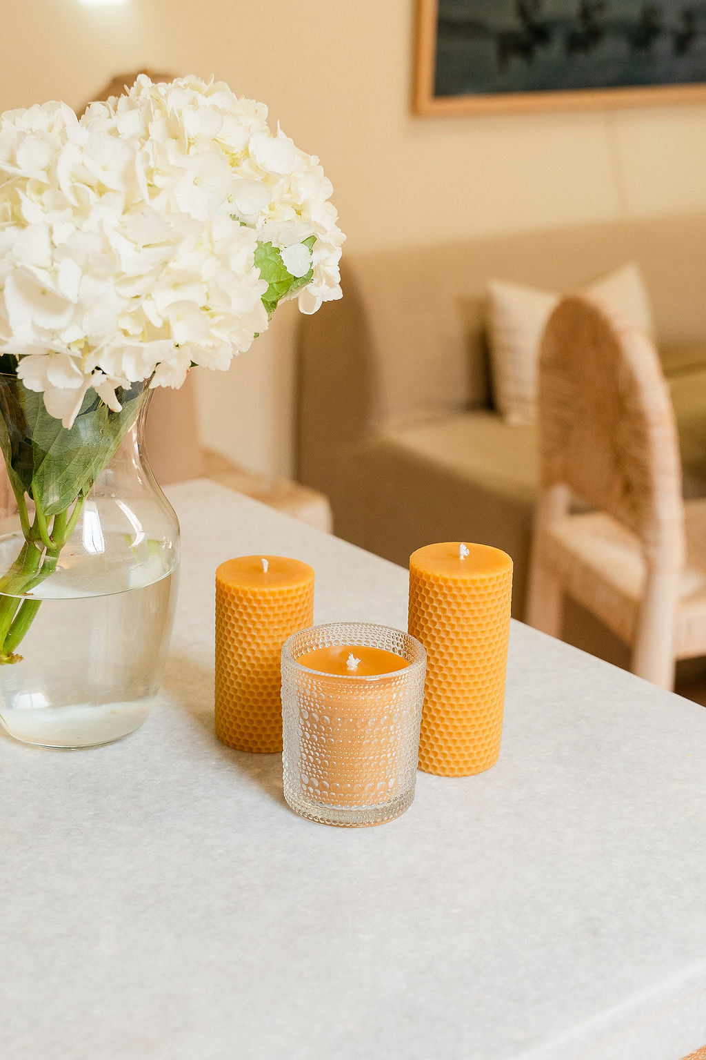 The Salt & Light Bundle